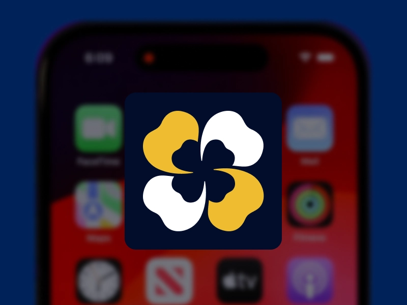Ícone do aplicativo BetDaSorte exibido na tela inicial do smartphone